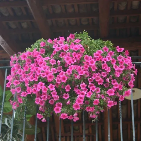 Oda ve Kahvaltı Agriturismo Il Crutin
